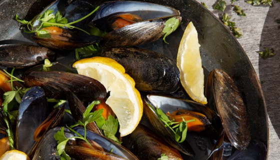 mussels5