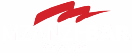mzanzi bar logo website